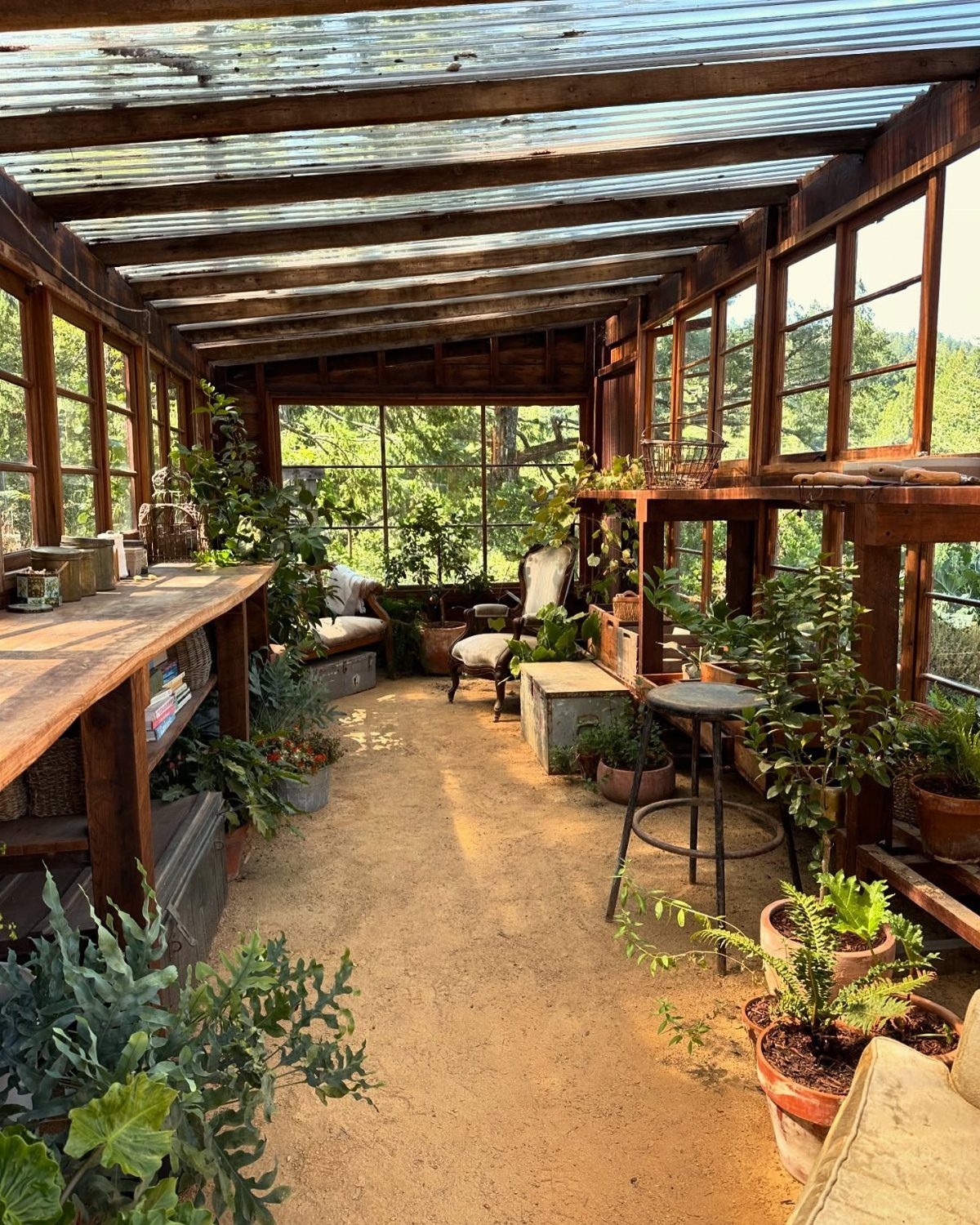 Rustic wooden greenhouse interior with potted plants, a potting bench, and translucent roofing.