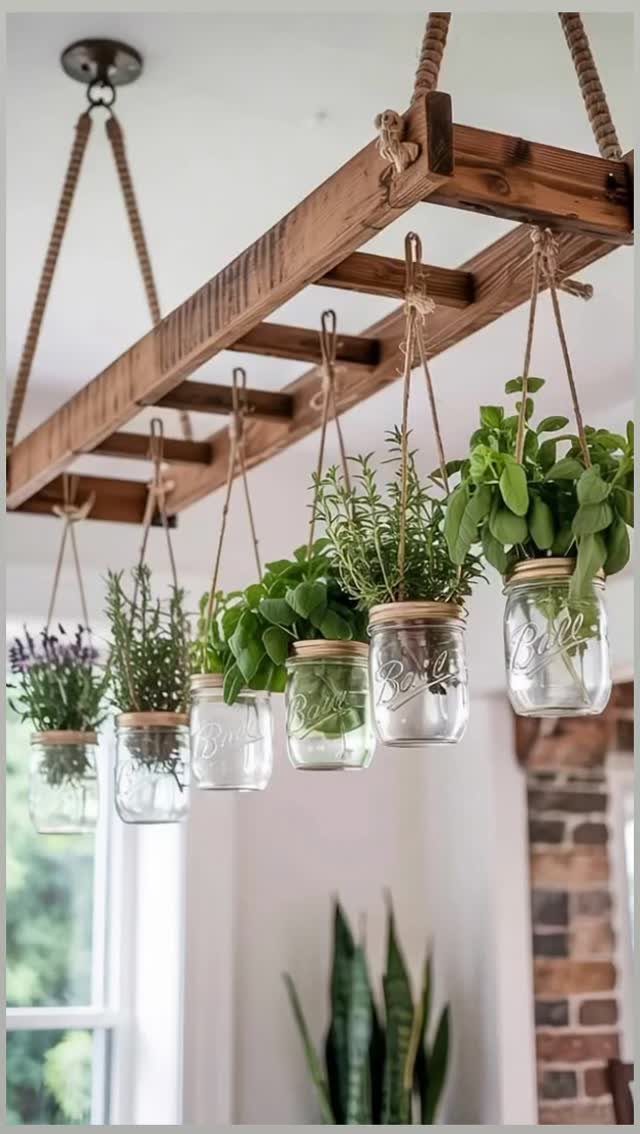Wooden board suspended by ropes holding several mason jars with fresh green herbs.