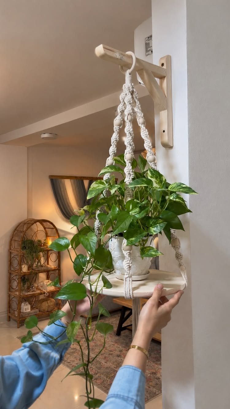 Macrame plant holder with a wooden base holding a green potted plant.