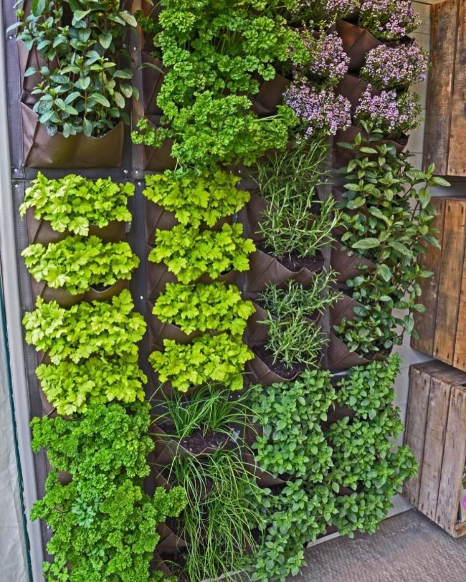 Vertical wall garden with various green and purple herbs in brown fabric pockets.