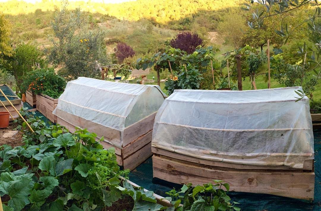Wooden raised garden beds with translucent plastic covers in a sunny outdoor garden.