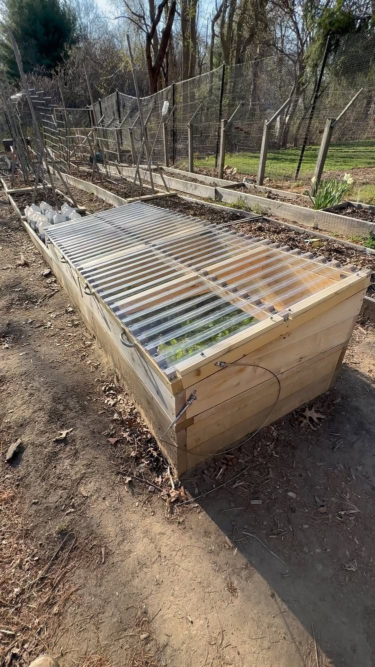 Wooden cold frame greenhouse with a clear plastic roof protecting small green plants.