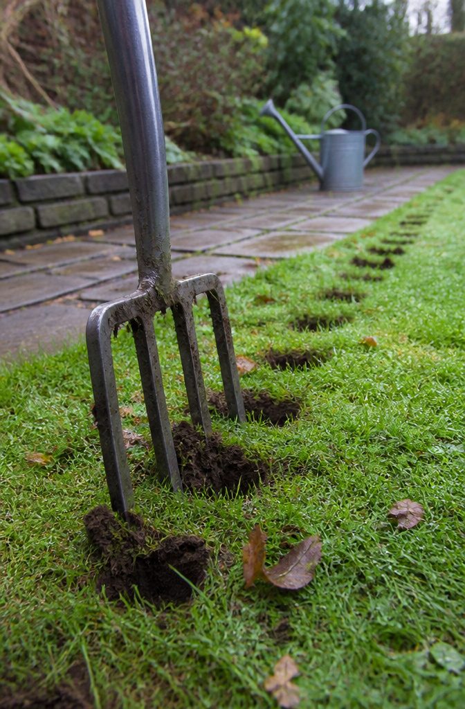 Garden fork with four metal tines pressed into grass and loose soil