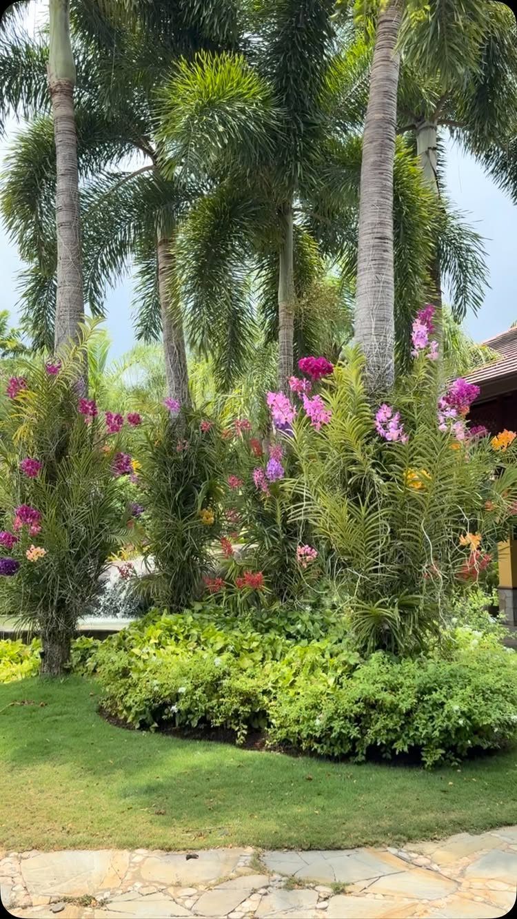 10 Ideas for Landscaping Around Trees, From Moss to Lighting 1 Palm trees with pink and purple orchids blooming in a lush garden bed.
