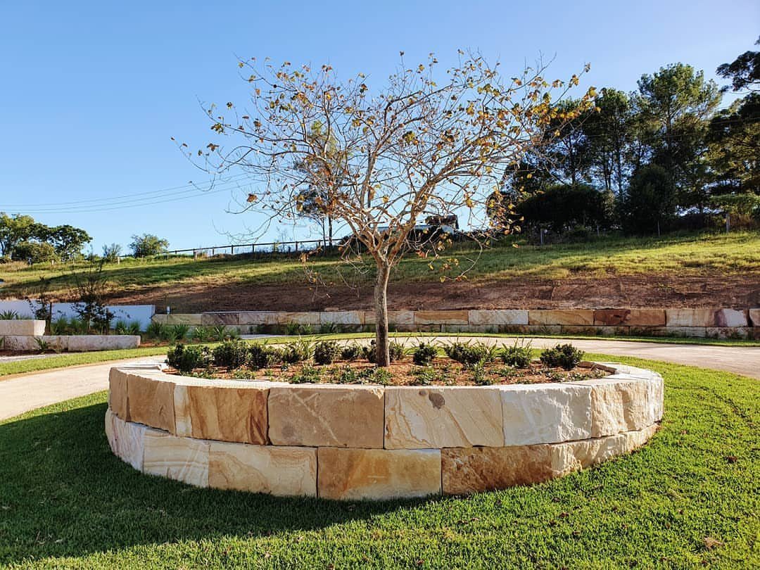 10 Ideas for Landscaping Around Trees, From Moss to Lighting 3 Small tree in a circular raised sandstone garden bed surrounded by green grass