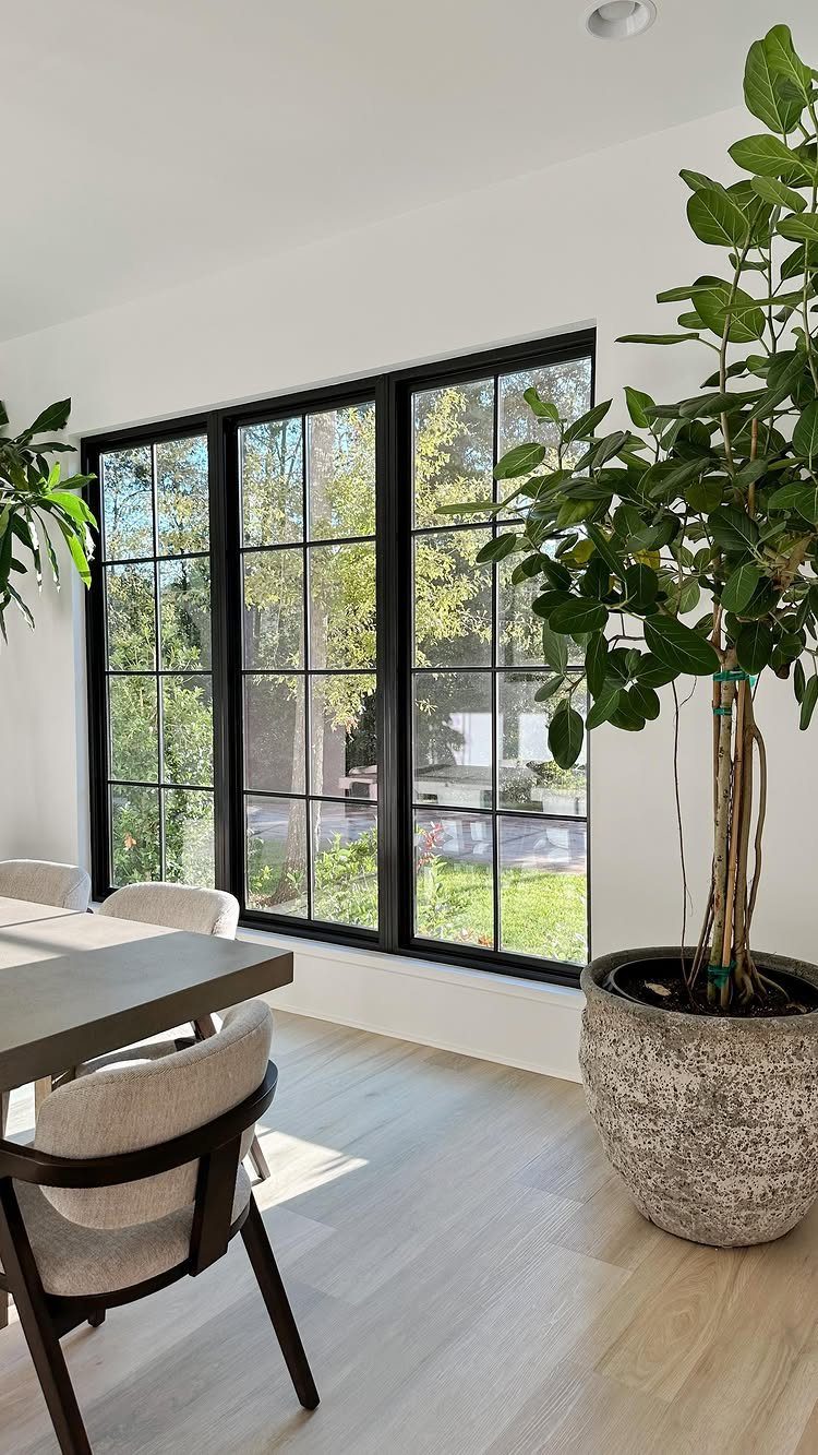 Large textured grey stone planter with a tall green plant in a bright room