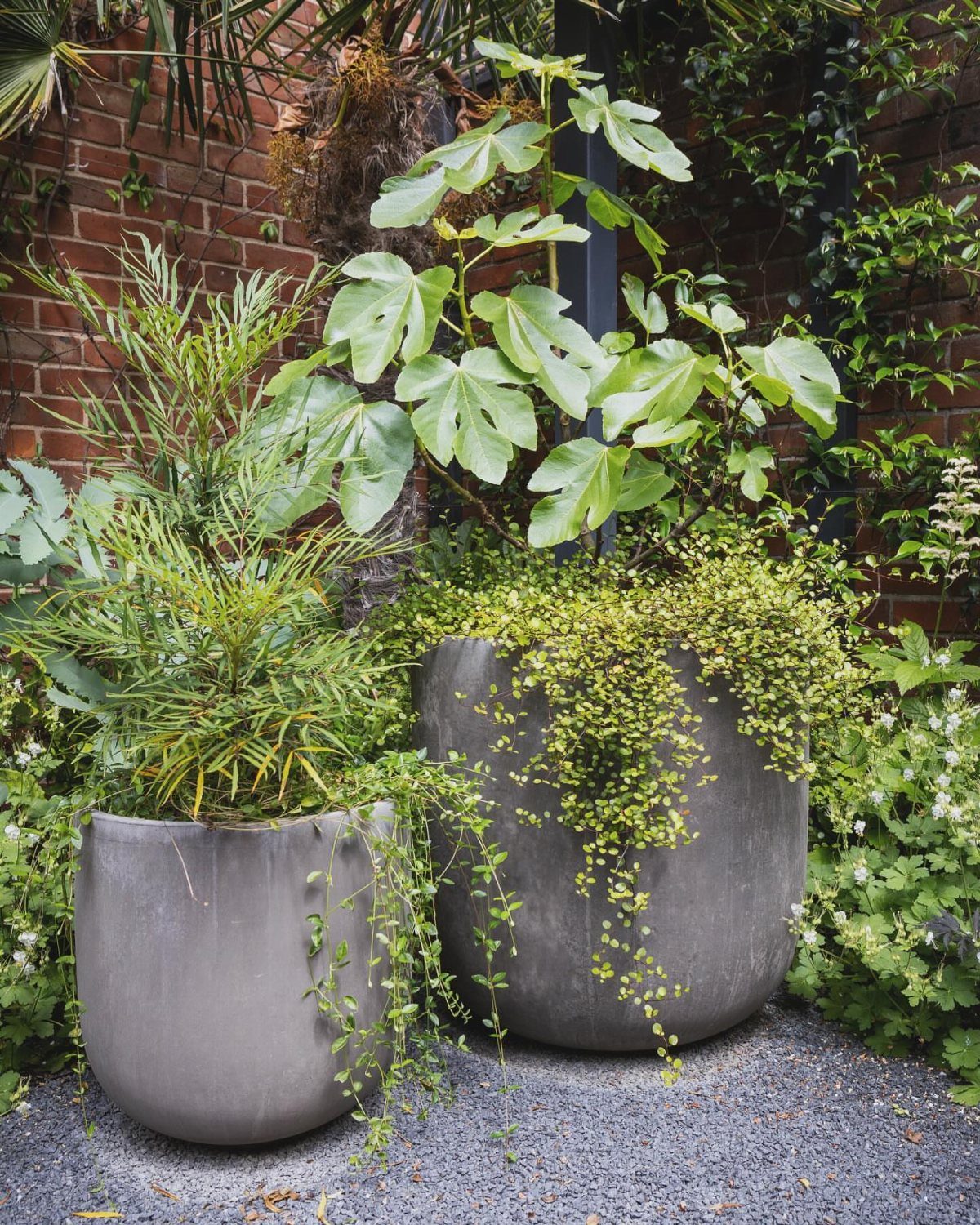 Two large grey concrete planters with diverse green foliage against a brick wall.