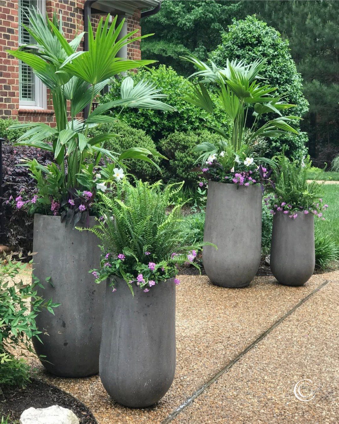 Tall grey concrete planters with palms and ferns on a gravel walkway.