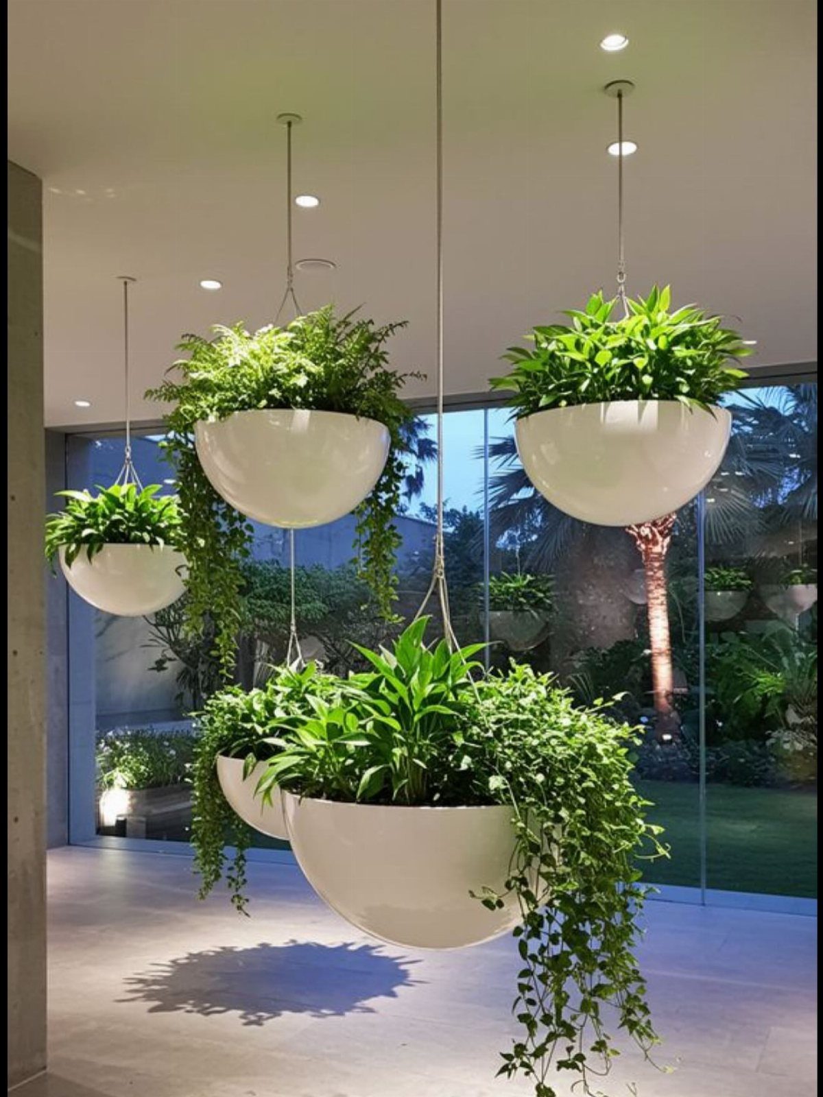 White bowl planters with green plants suspended at different heights from a ceiling.
