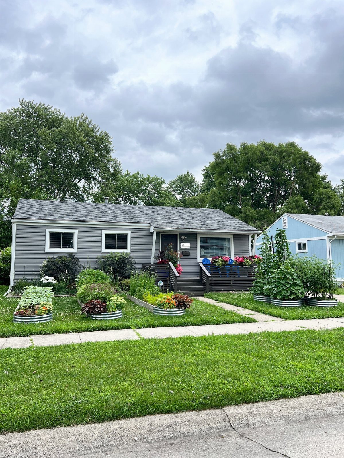 Raised metal garden beds with vegetables in the front yard of a grey house.