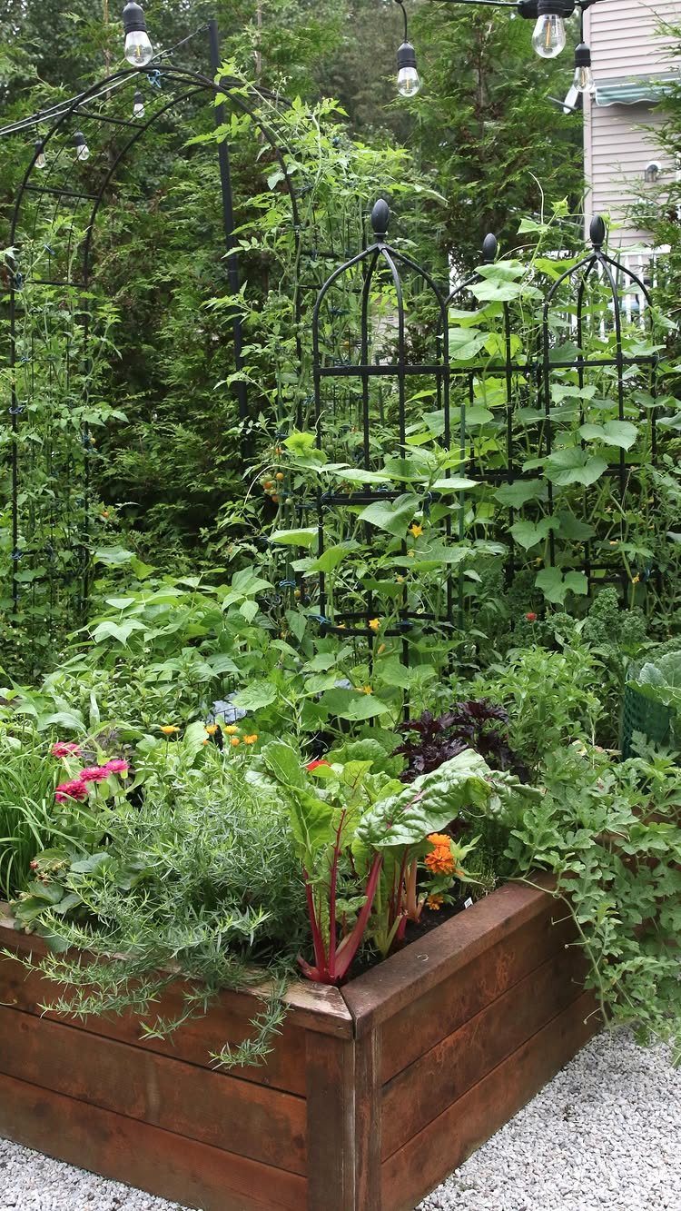 Wooden raised garden bed with vegetables and flowers under black metal trellises