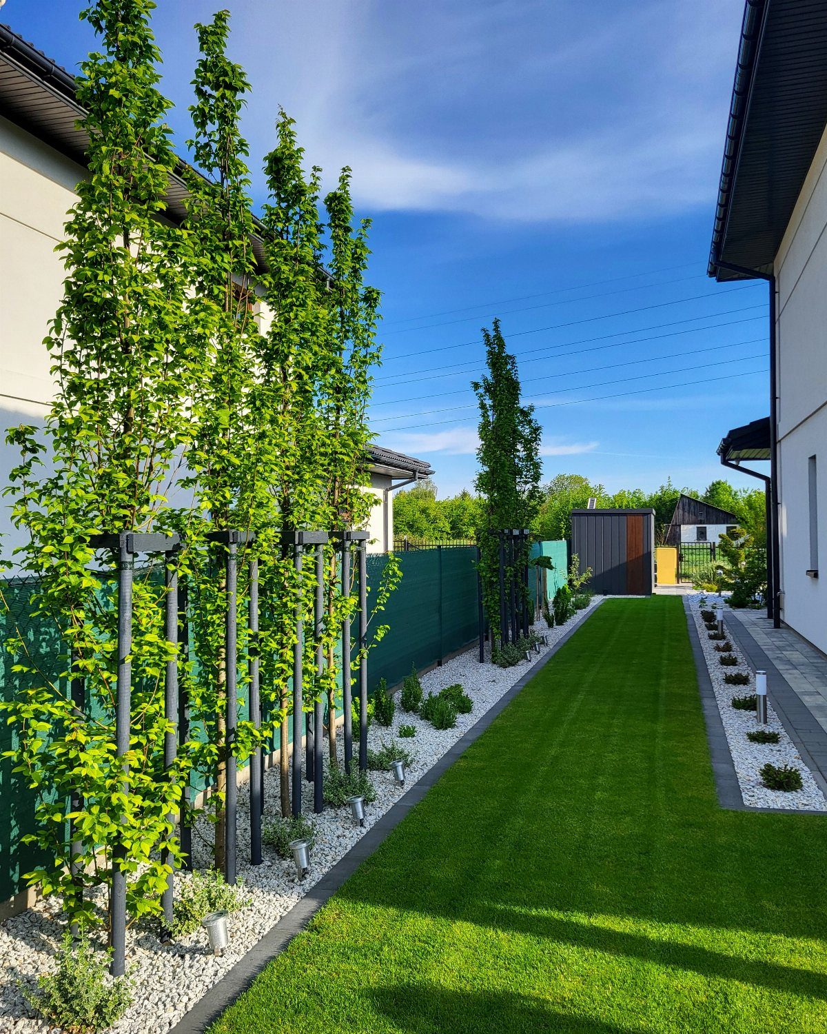 Tall columnar green trees in white gravel beds bordering a lush green lawn.