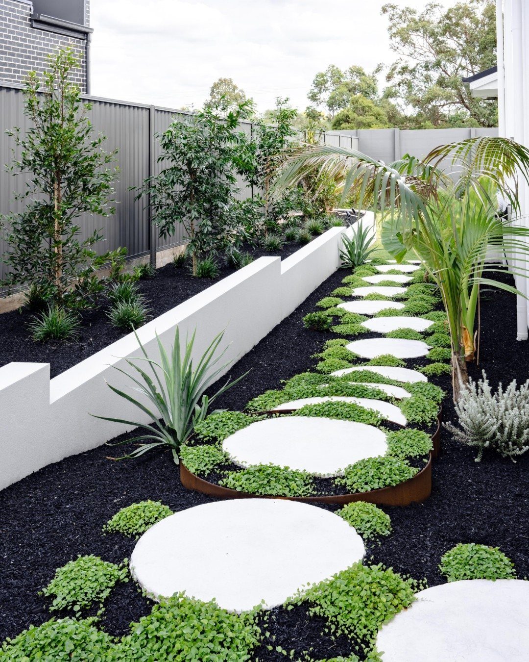 Circular white stepping stones set in black mulch along a modern garden path.