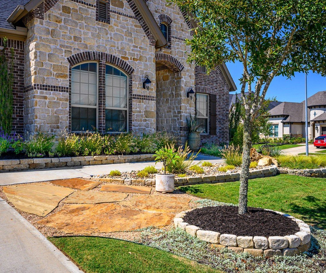 Small tree in a stone ring filled with dark brown mulch in a garden.