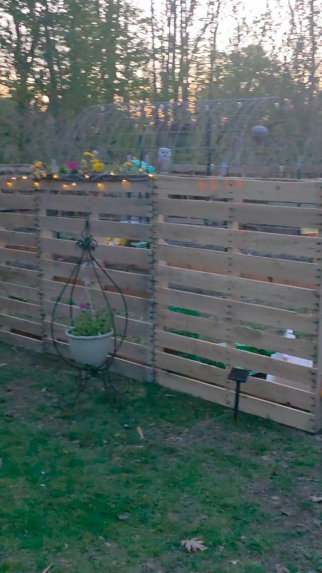 Wooden pallet fence standing in a grassy yard with a small potted plant.