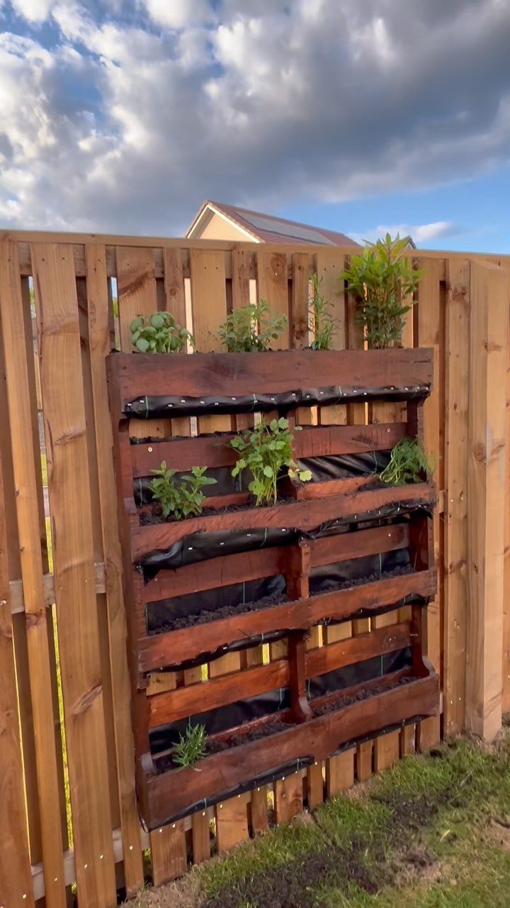 Vertical dark brown pallet herb garden with green plants against a wooden fence.