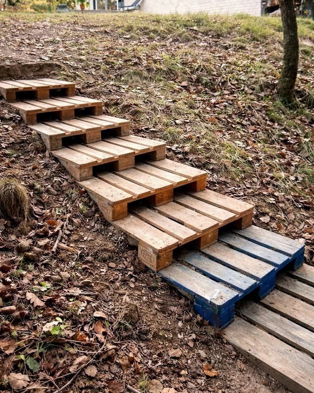 Wooden pallet stairs leading up a leaf-covered hillside in an outdoor setting.
