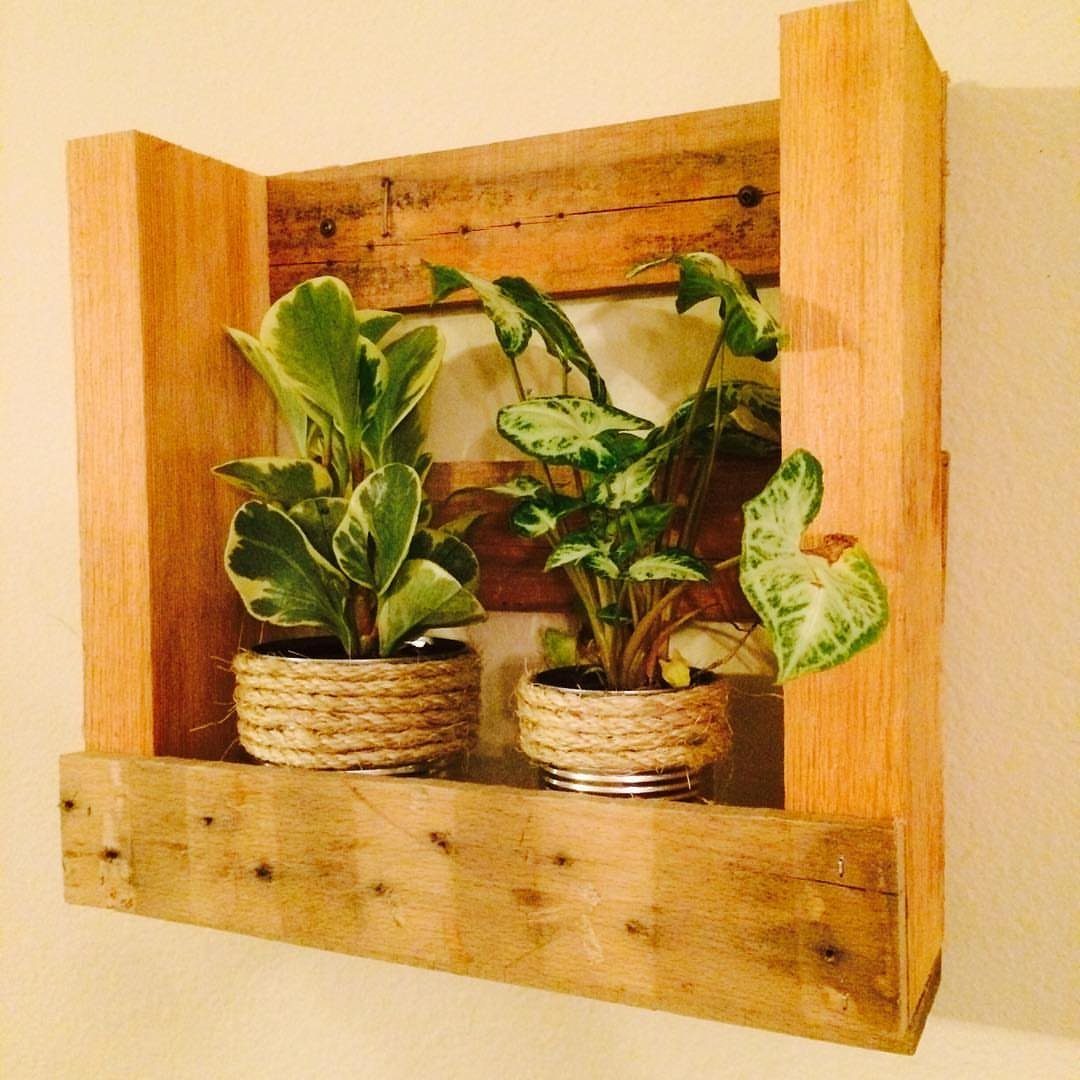Wooden pallet wall shelf holding two small green plants in rope-wrapped pots.