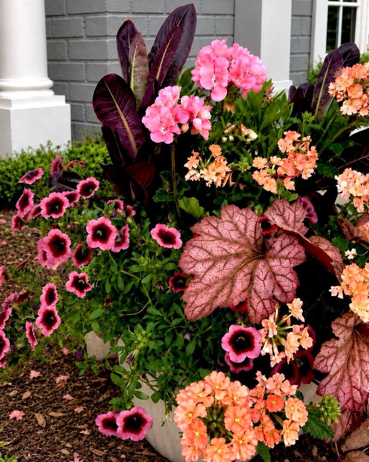 11 Potted Plant Garden Ideas for Patios, Balconies, Rooftops 9 Colorful mixed flowers and foliage including pink geraniums and petunias in a pot.