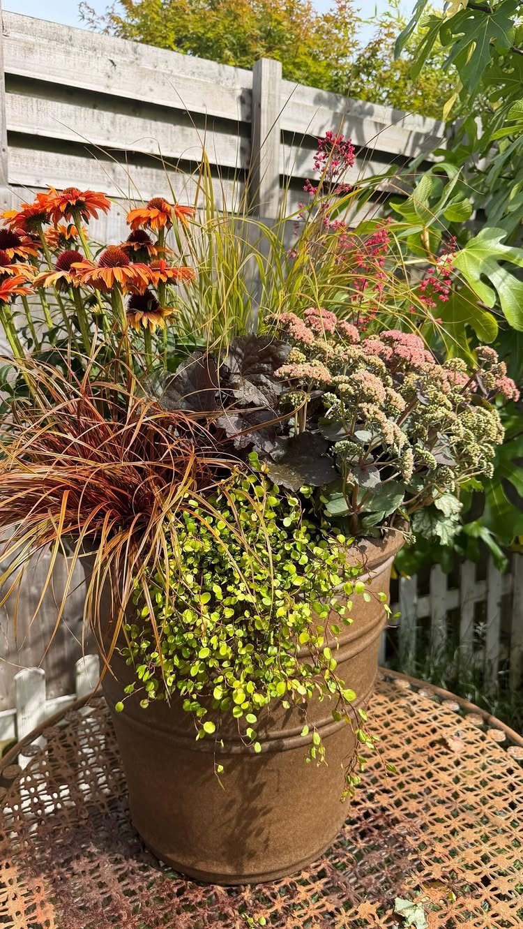 11 Potted Plant Garden Ideas for Patios, Balconies, Rooftops 5 Mixed arrangement of colorful flowers and foliage in a large brown ceramic pot.