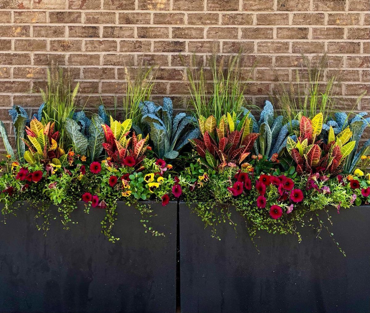 11 Potted Plant Garden Ideas for Patios, Balconies, Rooftops 8 Colorful crotons and red flowers in large black planters against a brick wall.