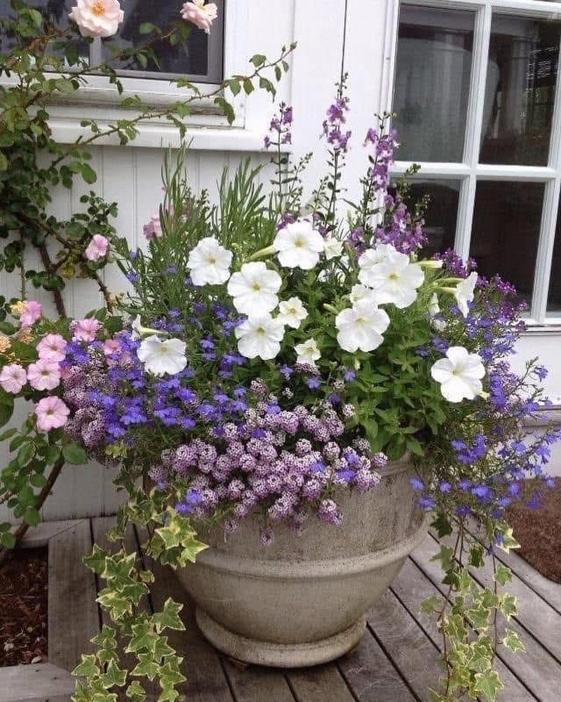 11 Potted Plant Garden Ideas for Patios, Balconies, Rooftops 1 Large stone pot with white and purple annual flowers on a wooden deck.