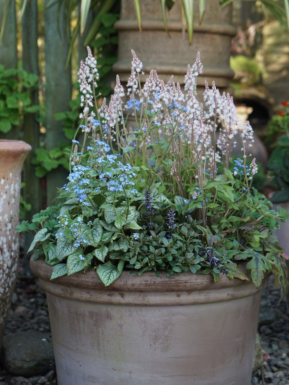 11 Potted Plant Garden Ideas for Patios, Balconies, Rooftops 7 Mixed perennial plants with white and blue flowers in a tan ceramic pot.