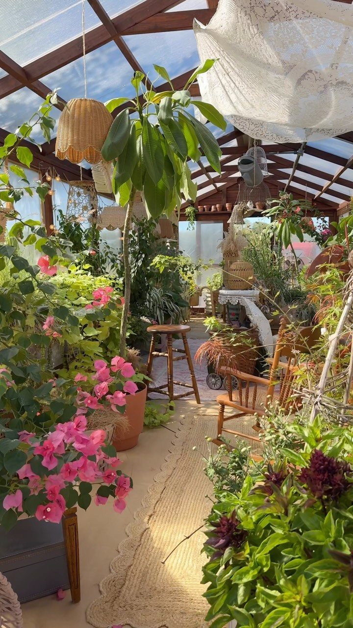 Bohemian greenhouse interior with lush plants, pink flowers, woven rug, and wooden furniture.