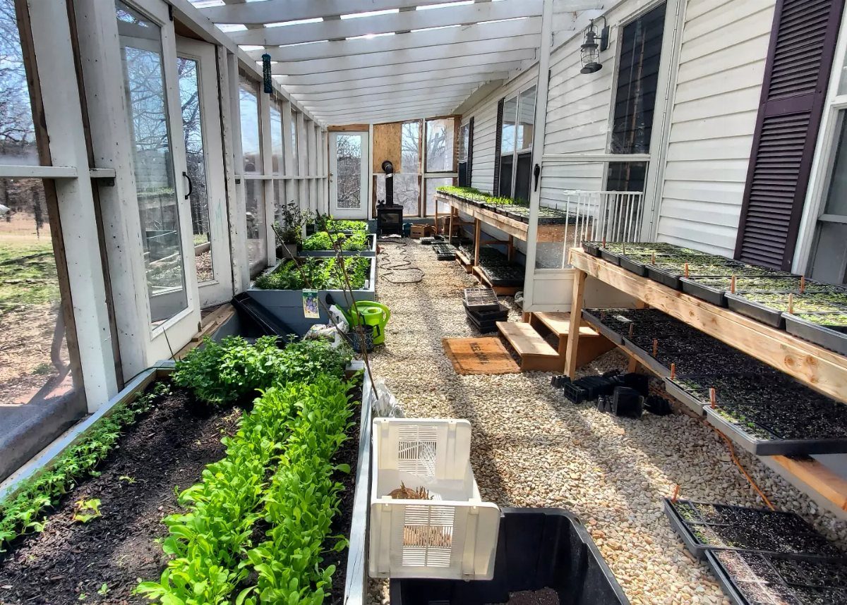 Lean-to greenhouse interior with gravel flooring, wooden shelves, and green vegetable planting beds.