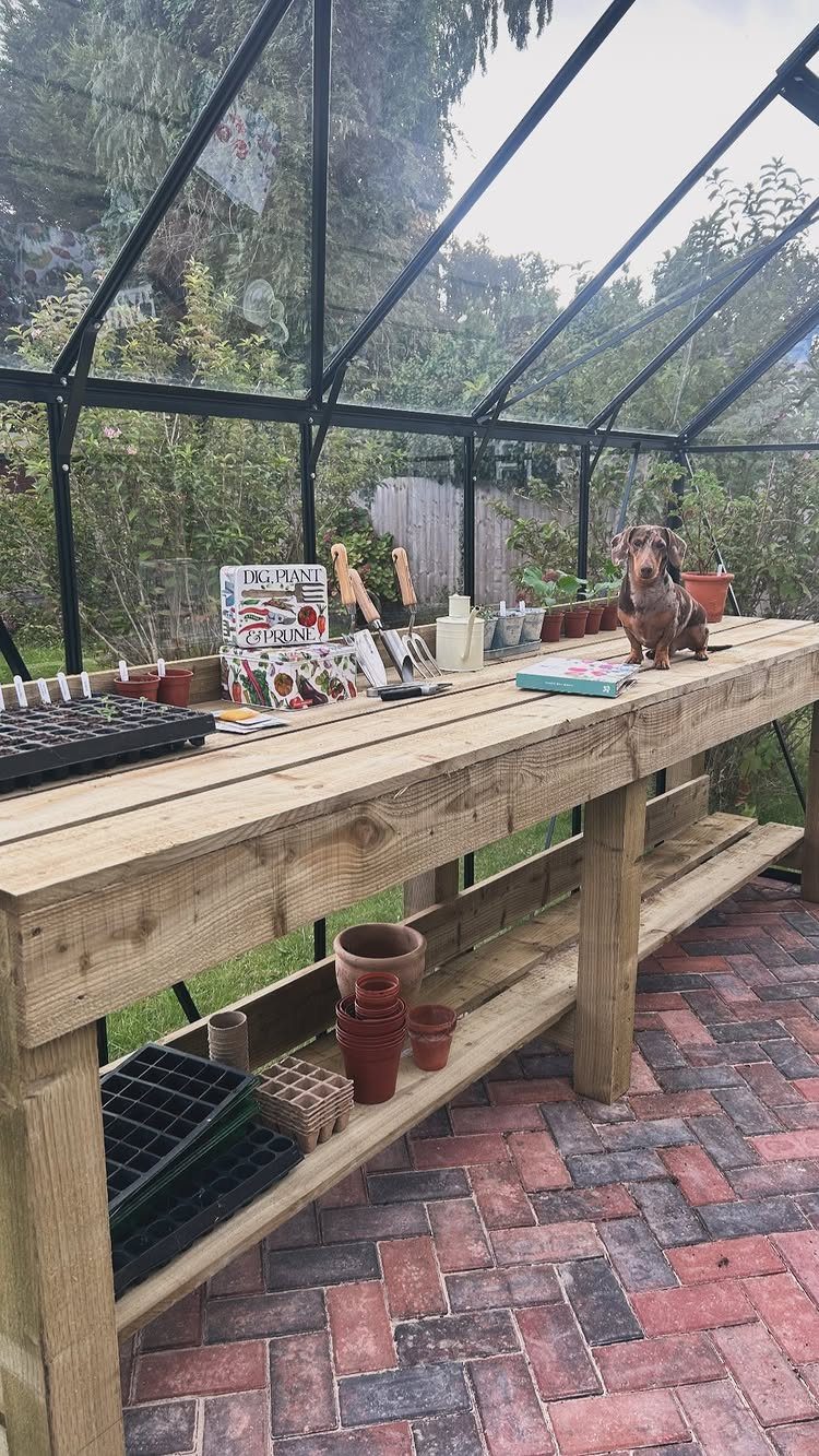 Wooden potting station with seed trays and a dachshund inside a glass greenhouse.