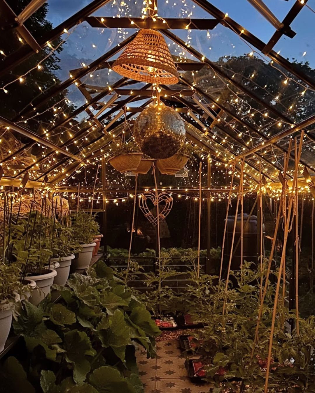 Greenhouse interior with warm string lights, a wicker pendant lamp, and lush green plants.