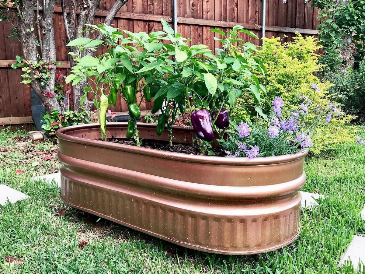 Raised Beds Garden: 25 Ideas from Wood, Metal, and Stone 7 Copper-colored corrugated metal raised bed with pepper plants and purple flowers on grass.