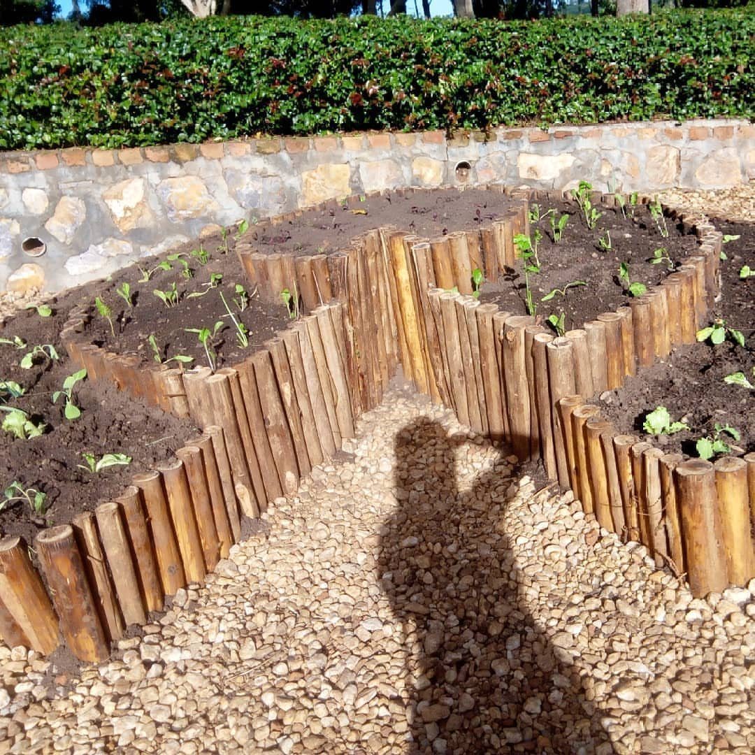 Raised Beds Garden: 25 Ideas from Wood, Metal, and Stone 24 Wooden log raised garden beds with young plants on a gravel path.