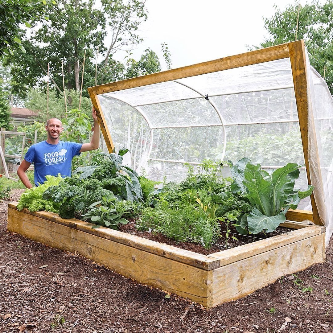 Raised Beds Garden: 25 Ideas from Wood, Metal, and Stone 6 Wooden raised garden bed with green vegetables under a white mesh hoop cover.