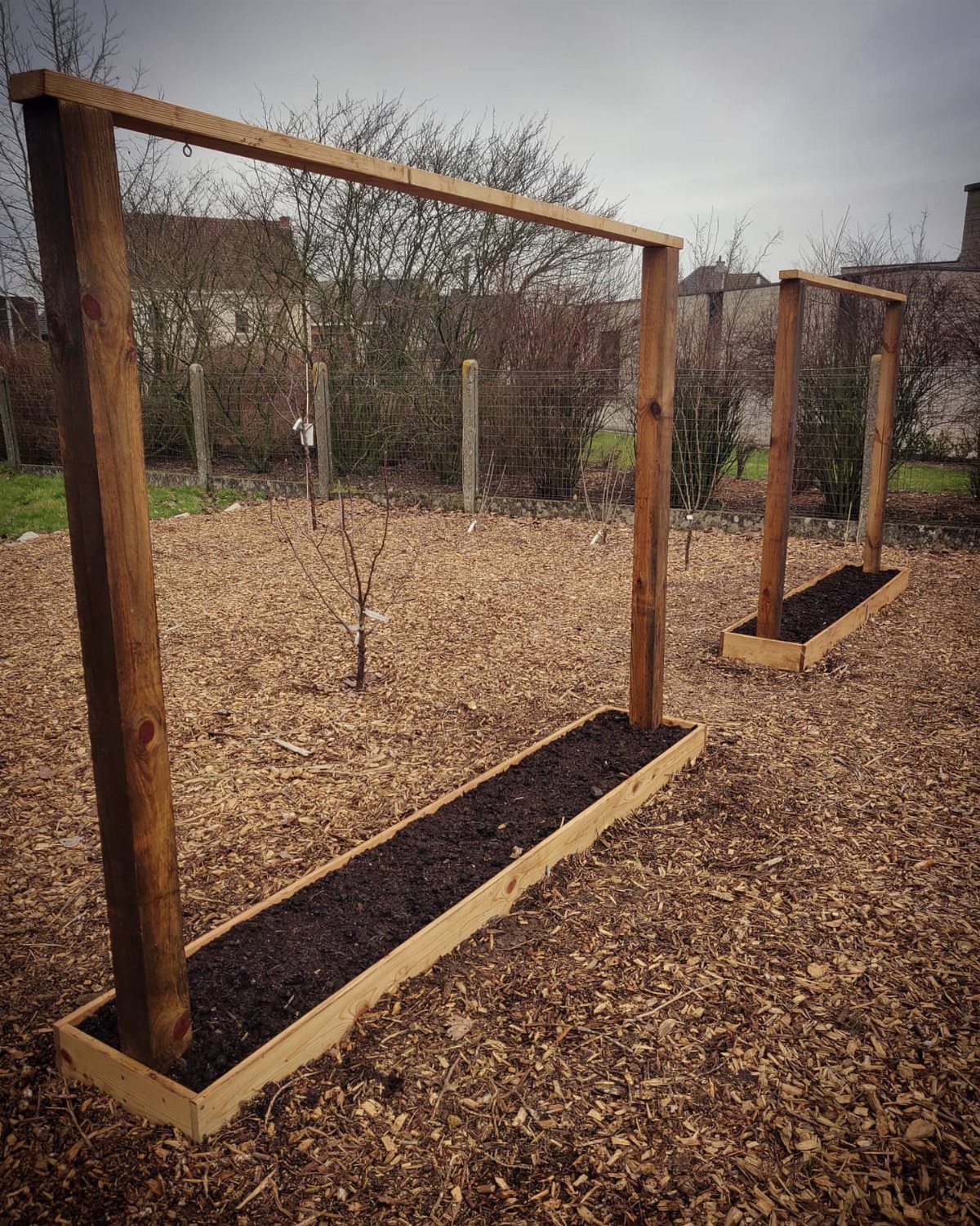 Raised Beds Garden: 25 Ideas from Wood, Metal, and Stone 25 Wooden raised garden beds with tall frames in a mulched backyard setting.