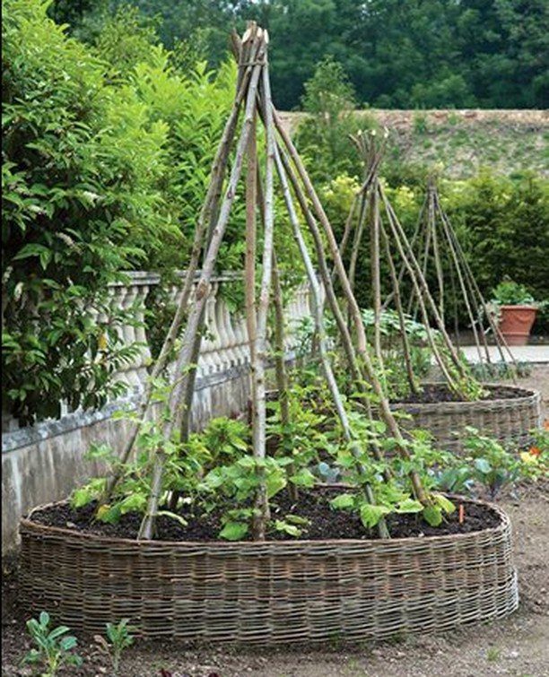 Raised Beds Garden: 25 Ideas from Wood, Metal, and Stone 23 Circular woven wattle raised garden beds with wooden teepee supports and green plants.
