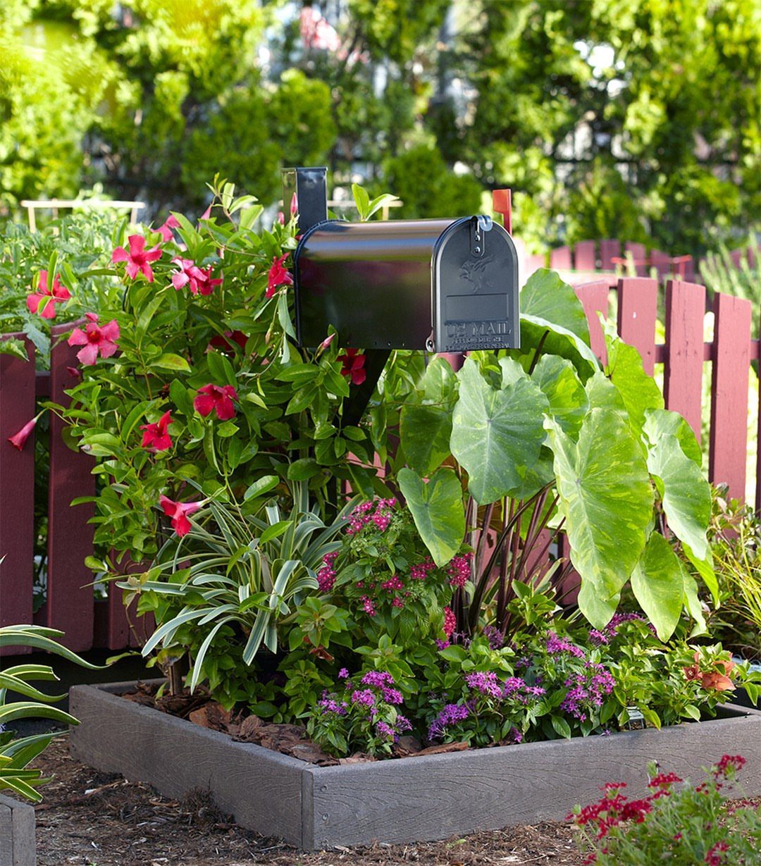Black mailbox surrounded by colorful flowers and large green leaves in a raised bed.