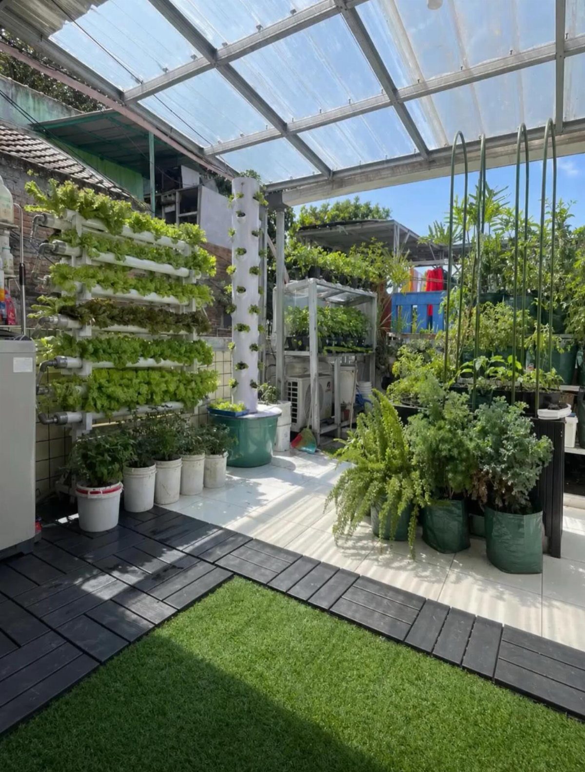 Vertical hydroponic garden system with green plants on a glass-roofed rooftop patio.