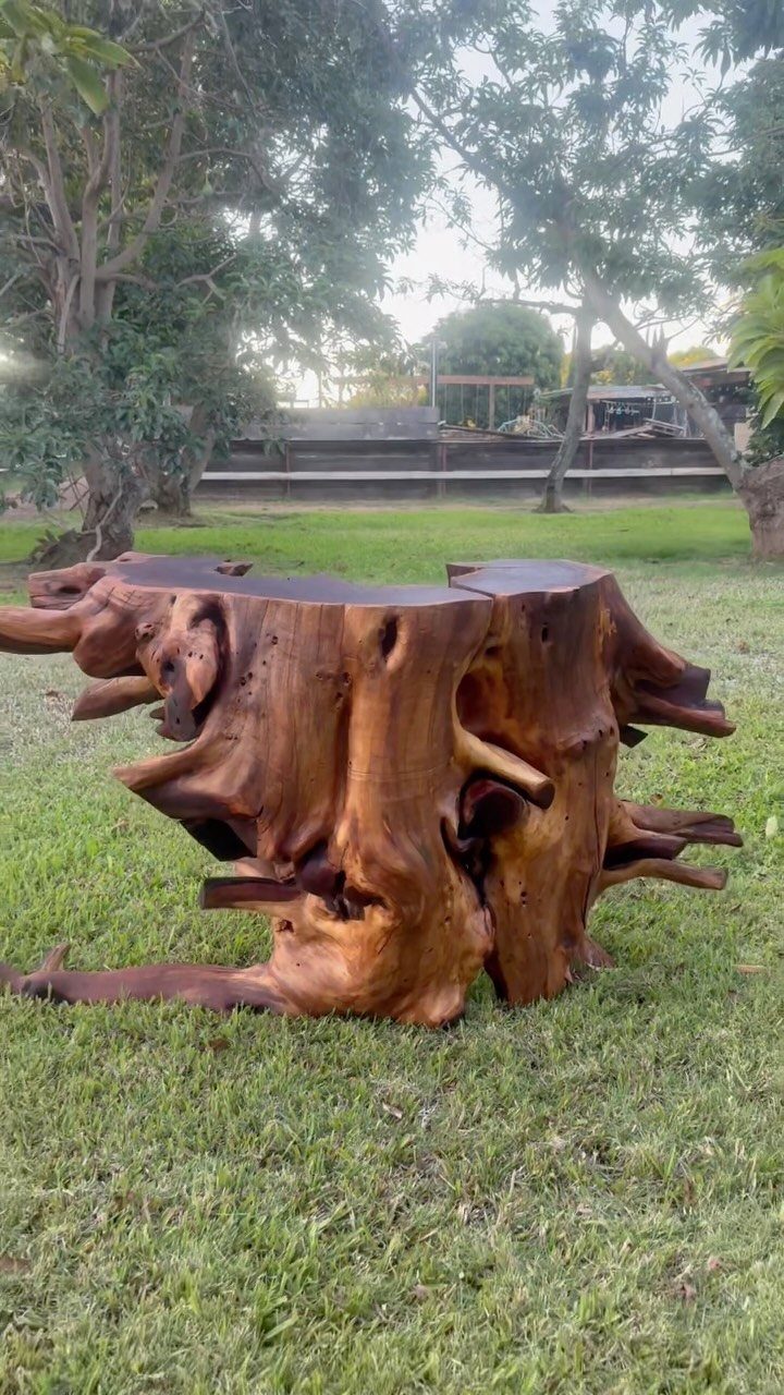 Natural wood table made from a tree stump and roots on green grass.