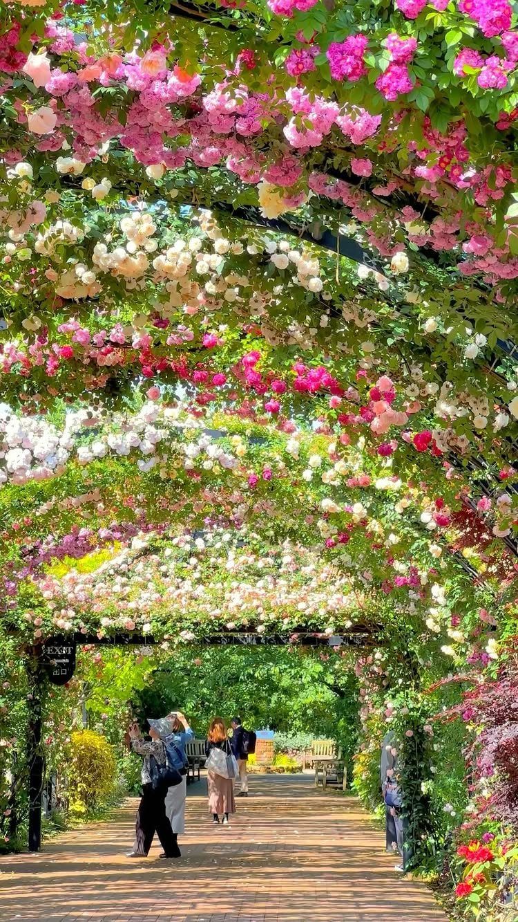 Flowering vines tunnel with pink and white roses over a brick garden path.