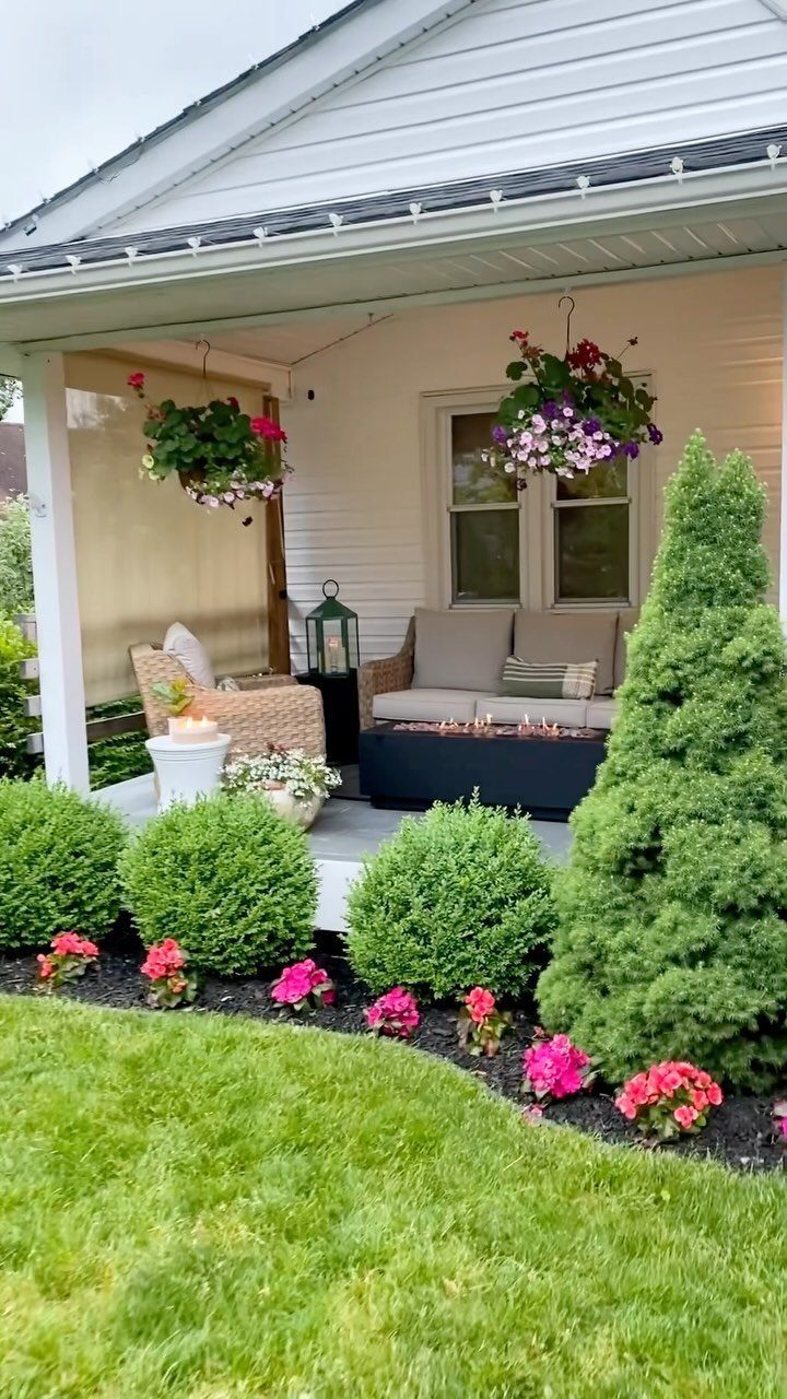 Rounded and conical evergreen shrubs planted in a mulch bed before a porch.