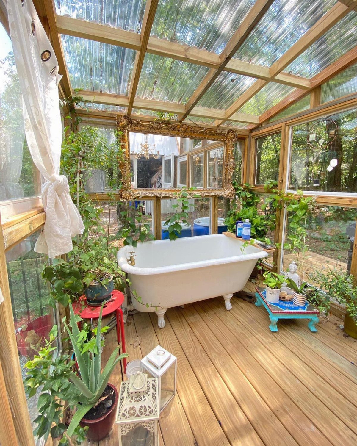 White clawfoot bathtub surrounded by green plants inside a wooden frame greenhouse.