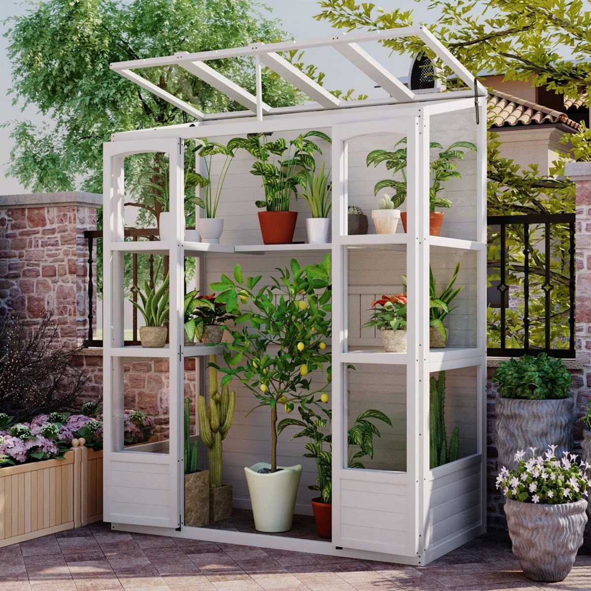 White wooden greenhouse with glass panels and shelves holding various potted green plants.