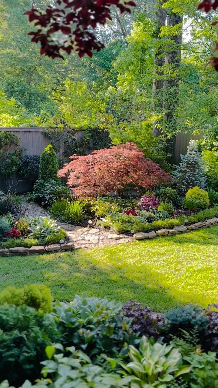 Small Trees for Landscaping: 17 Flowering and Evergreen Picks 6 Red Japanese Maple tree in a lushly landscaped garden with a stone path.