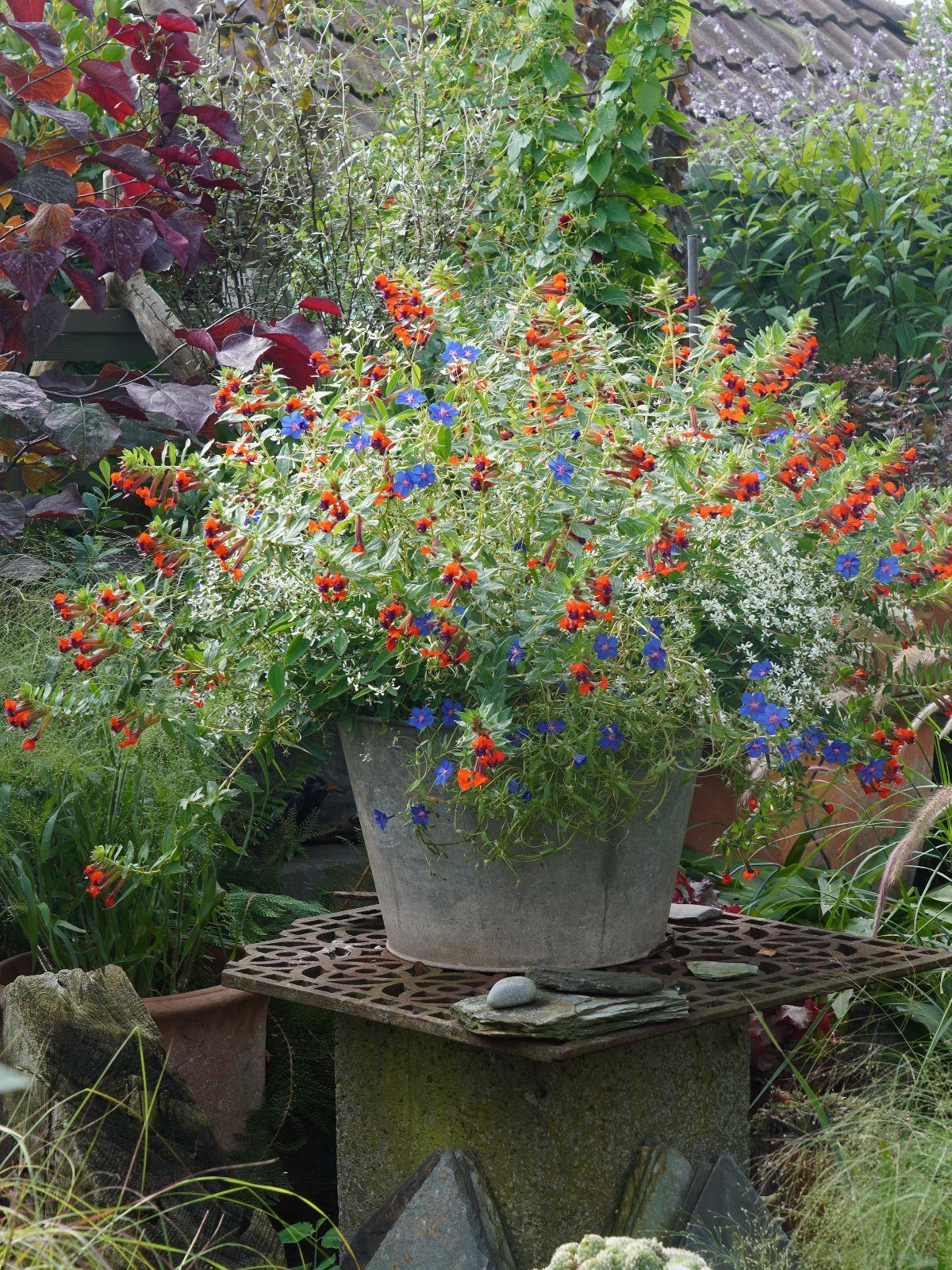 Red and blue flowers in a grey stone planter on a garden pedestal.
