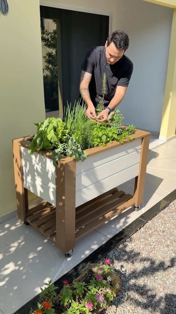 Man tending to a variety of green herbs in a white wooden planter.