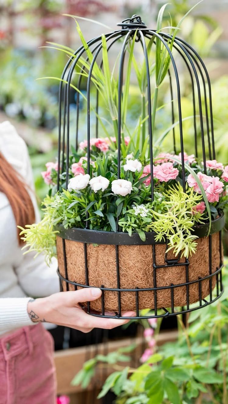 Birdcage planter with tall grass, pink and white flowers, and trailing lime-green foliage.