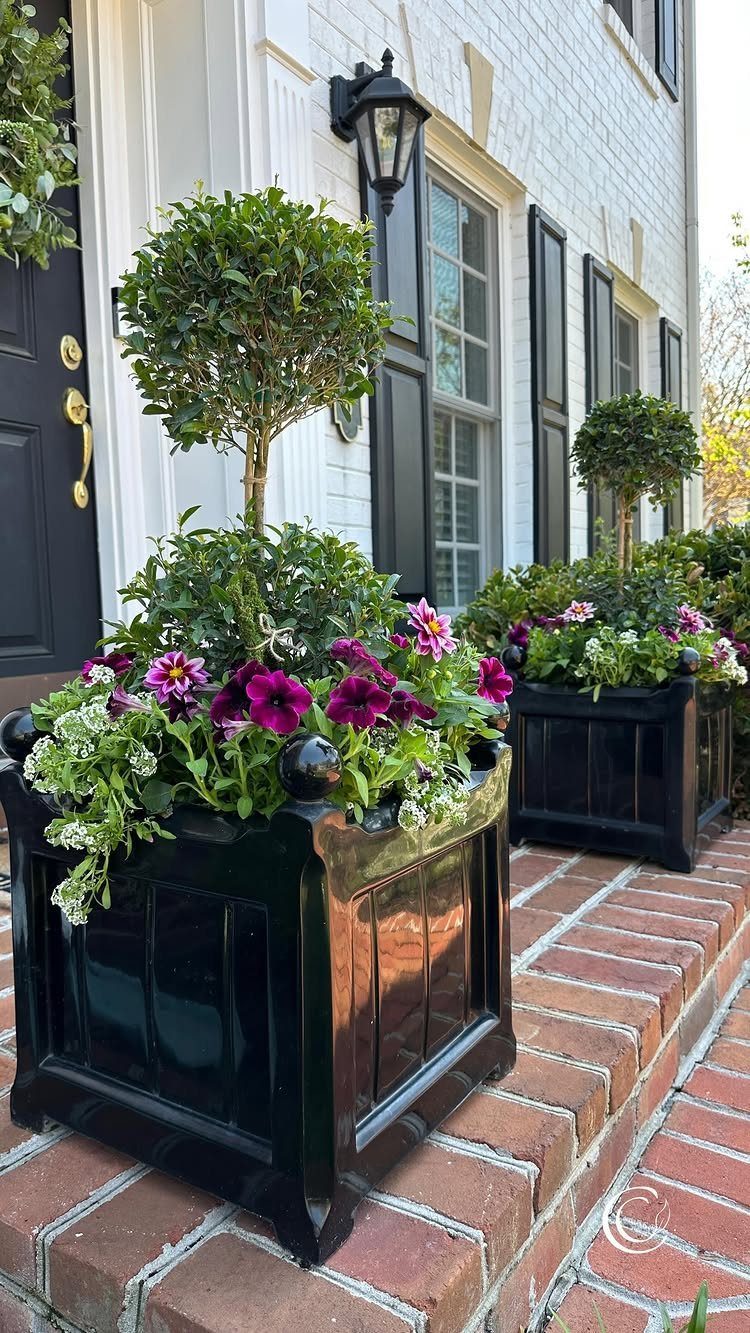 Black square planter with a topiary tree, purple petunias, and white flowers on brick steps.