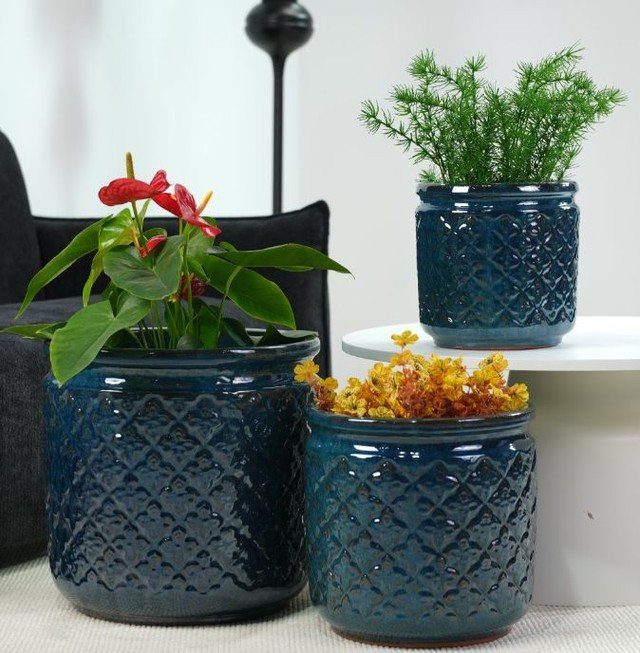18 Unique Pots for Plants, From Resin Corgis to Copper Flowers 7 Dark blue ceramic plant pots with a raised diamond texture holding various indoor plants.