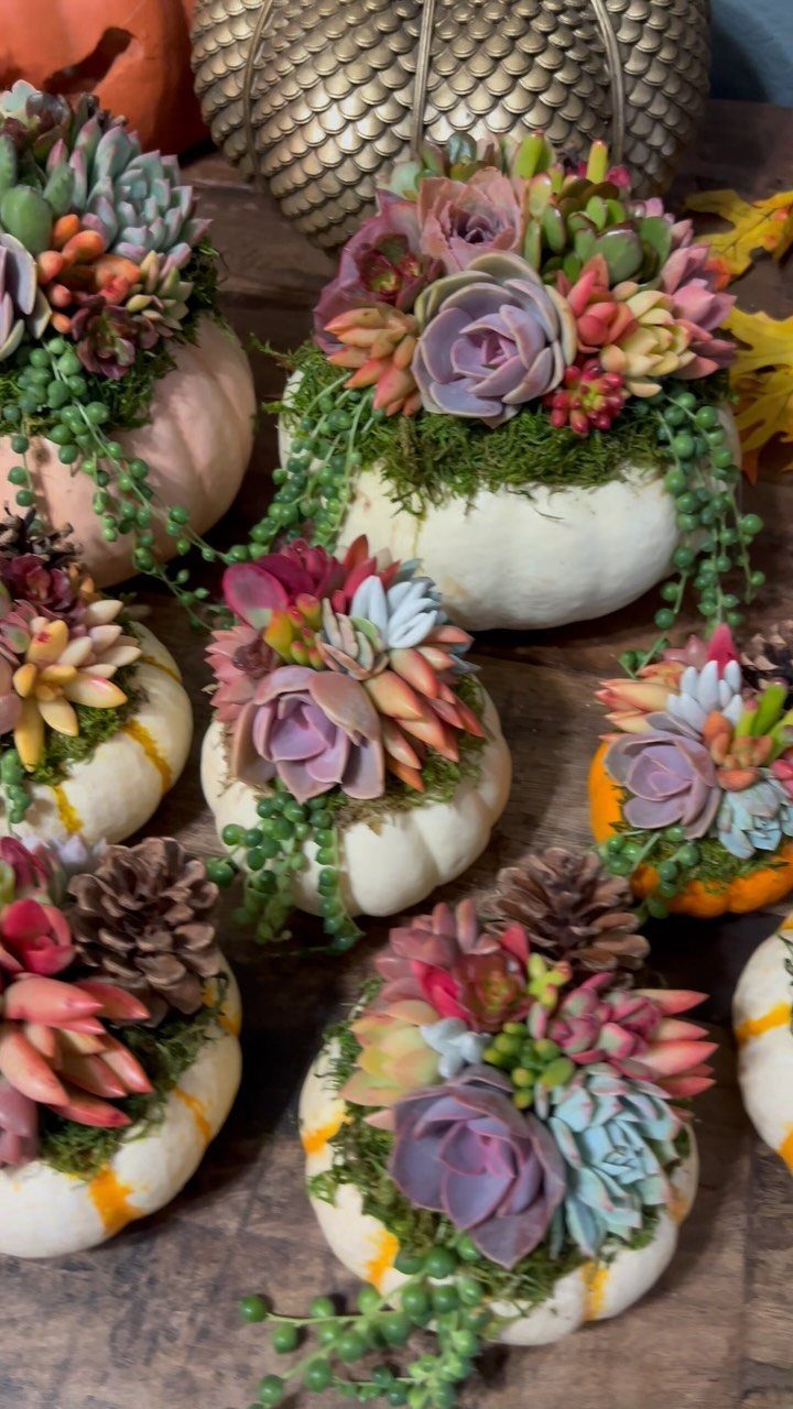 18 Unique Pots for Plants, From Resin Corgis to Copper Flowers 13 Small pumpkins used as planters filled with colorful succulents and green moss.